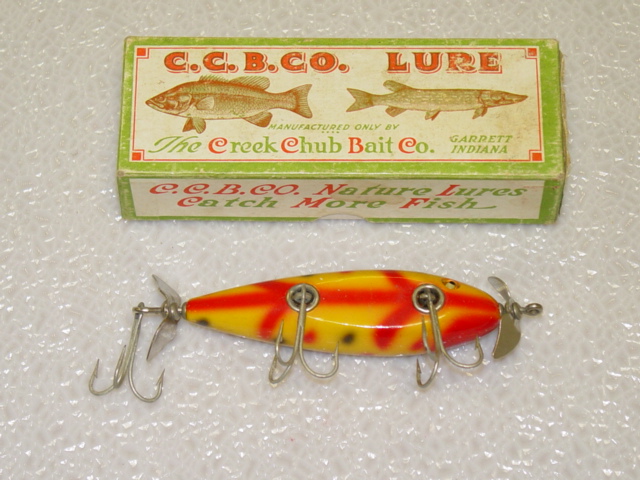 CREEK CHUB BABY INJURED MINNOW